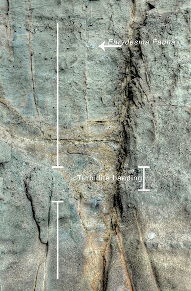 Geology of the Illawarra and Southern Highlands - Sydney Basin