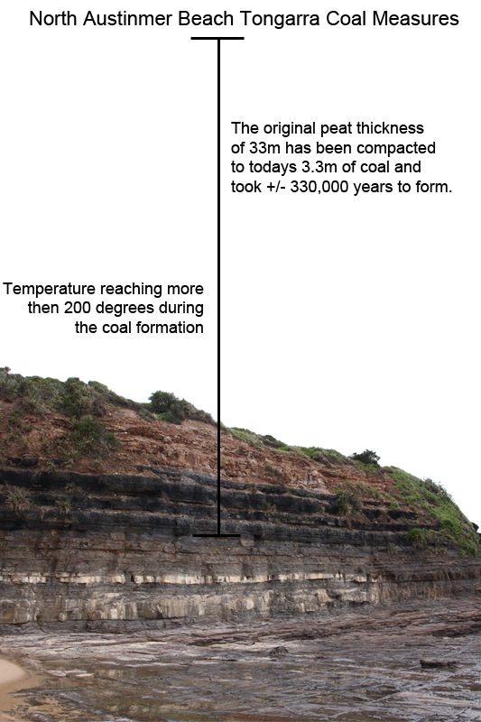 Geology of the Illawarra and Southern Highlands - Sydney Basin